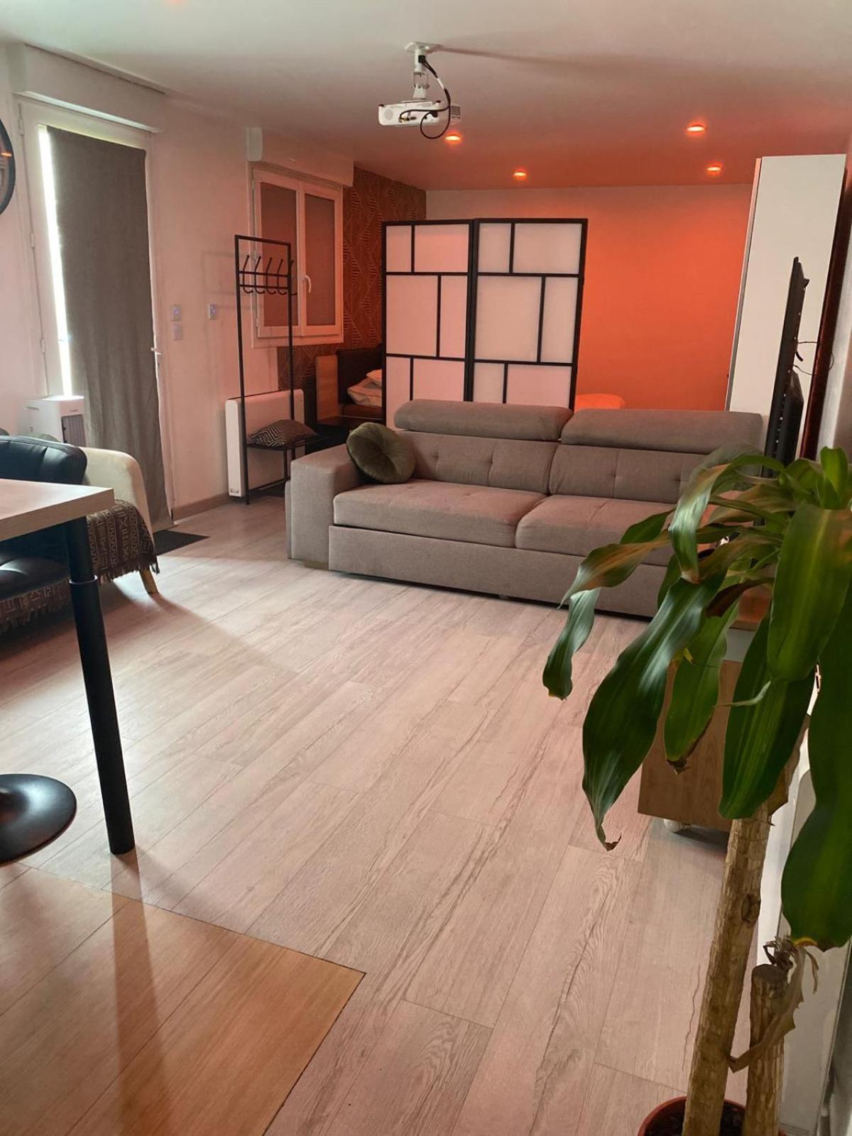 Grand studio 40m2 chaleureux - Jacuzzi Tremblay-en-France Extérieur photo